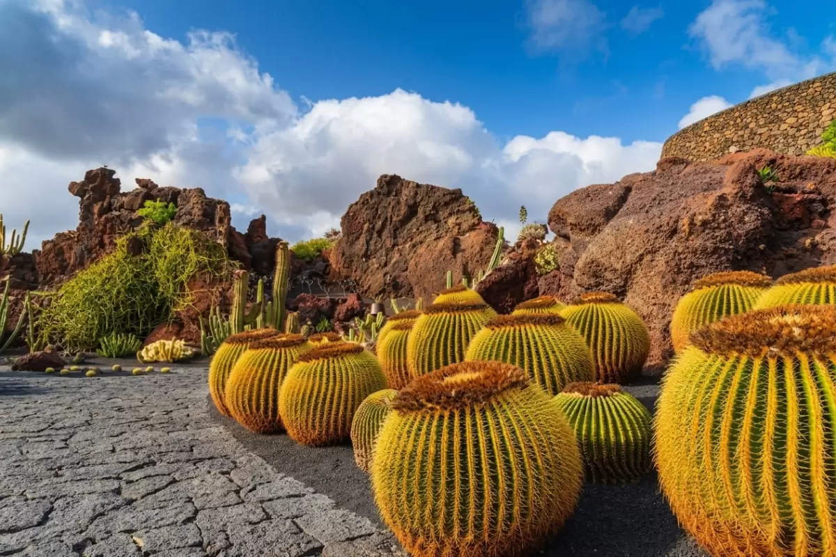 Discover Lanzarote & La Graciosa Tour LANZAROTE (C2C)