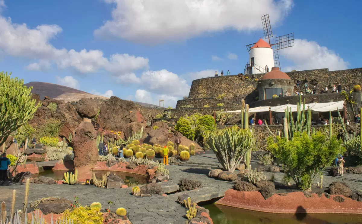 Discover Lanzarote & La Graciosa Tour LANZAROTE (C2C)