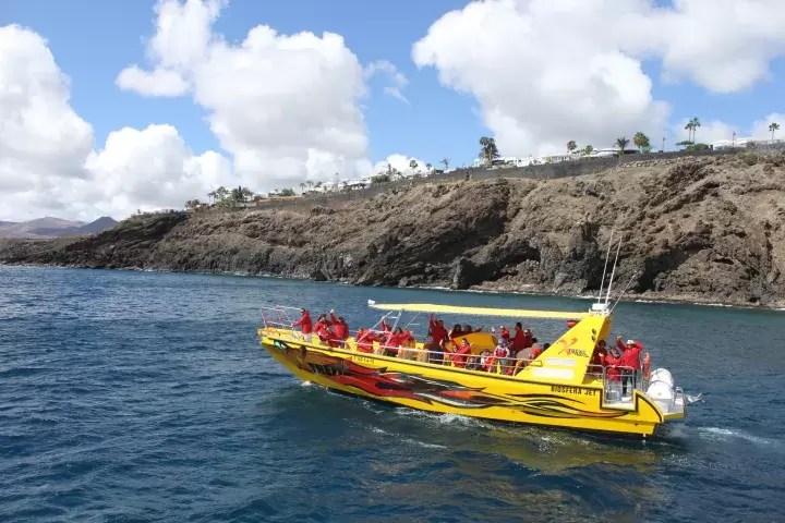 Lobos Island Dolphin Tour LANZAROTE