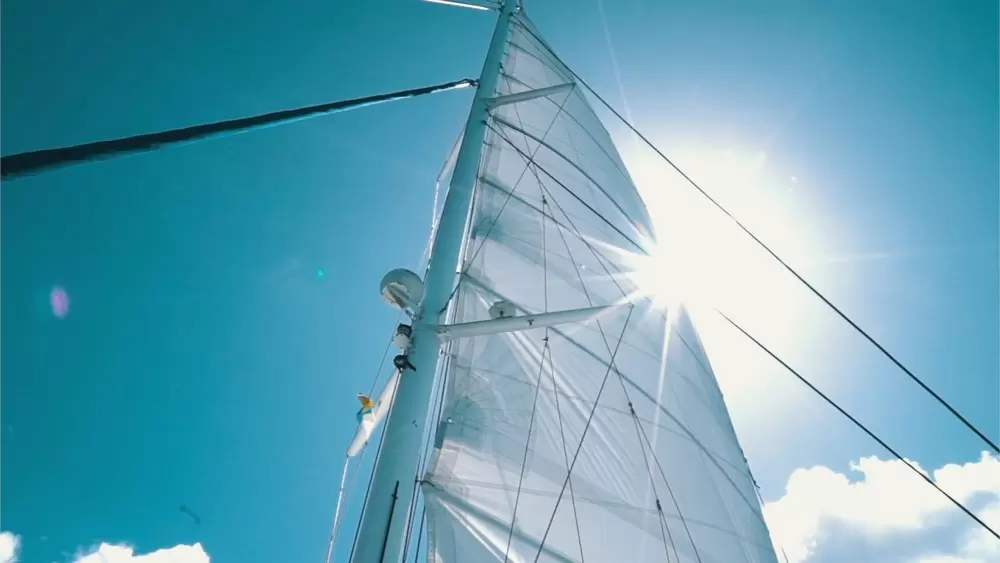 Sunset Dolphin Catamaran Tour LANZAROTE