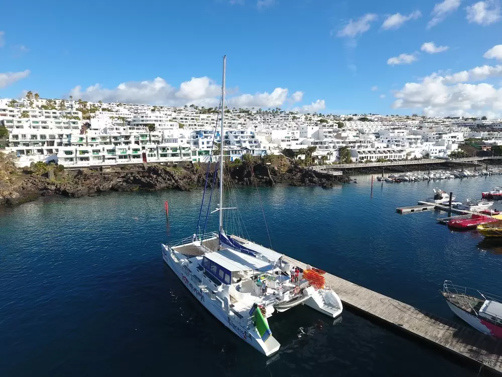Sunset Dolphin Catamaran Tour LANZAROTE