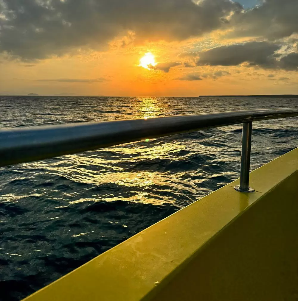 Sunset Dolphin Tour LANZAROTE