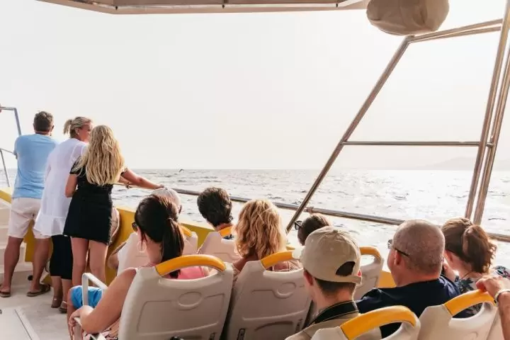 Sunset Dolphin Tour LANZAROTE