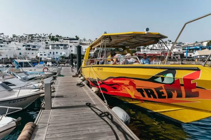 Sunset Dolphin Tour LANZAROTE