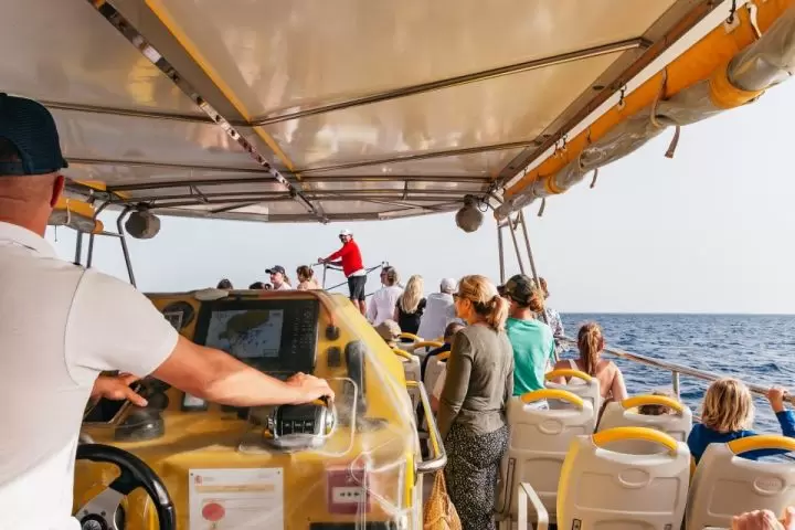Sunset Dolphin Tour LANZAROTE