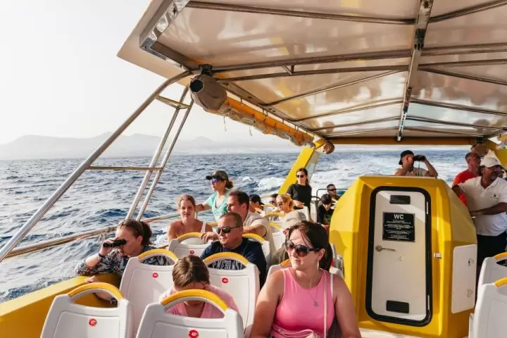 Sunset Dolphin Tour LANZAROTE