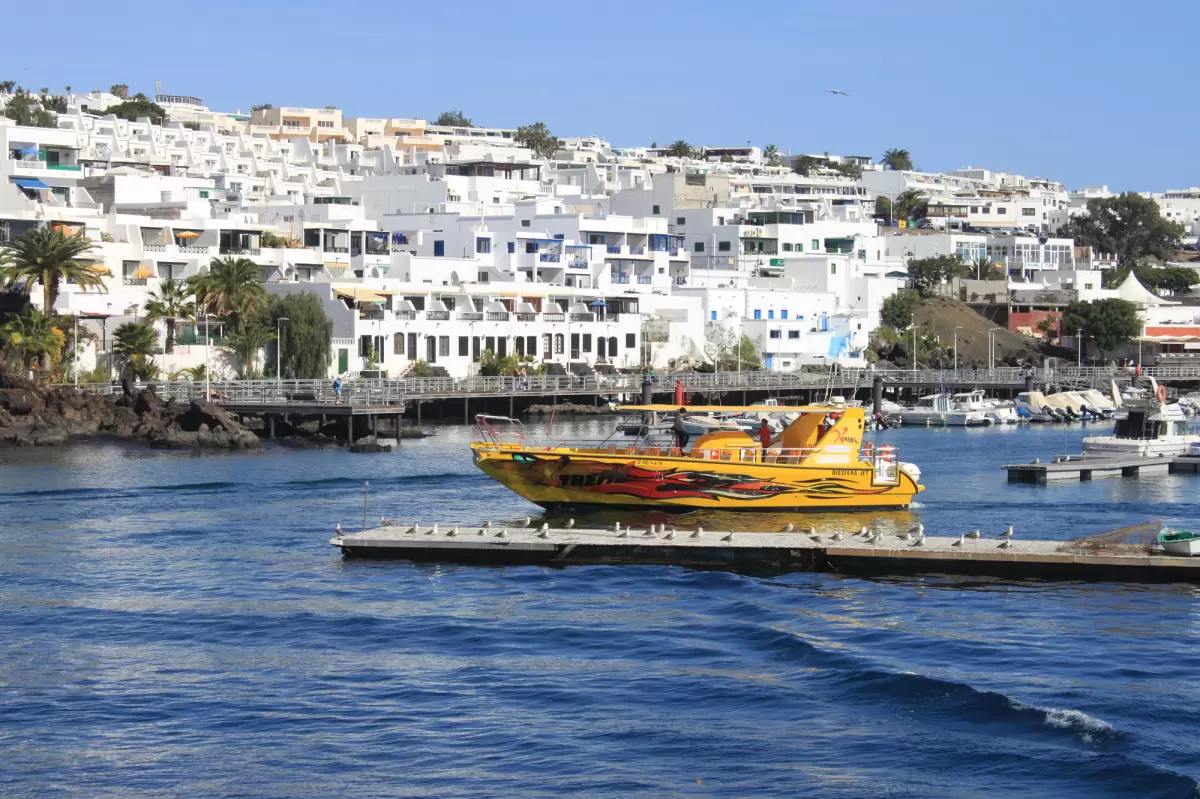 Sunset Dolphin Tour LANZAROTE