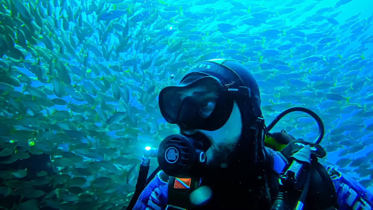 Try Dive / DSD/ Intro Dive !!! Costa Teguise, Puerto del Carmen ONLY !!! LANZAROTE