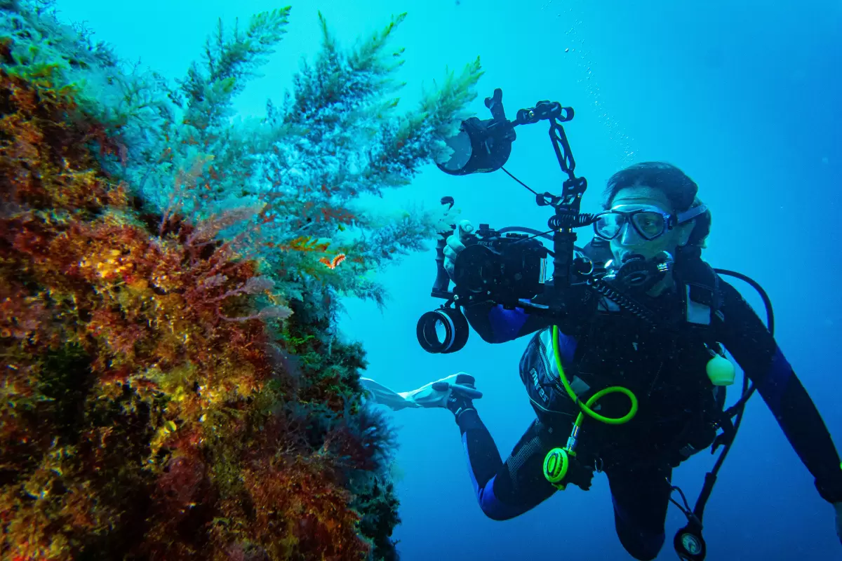 Try Dive / DSD/ Intro Dive !!! Costa Teguise, Puerto del Carmen ONLY !!! LANZAROTE