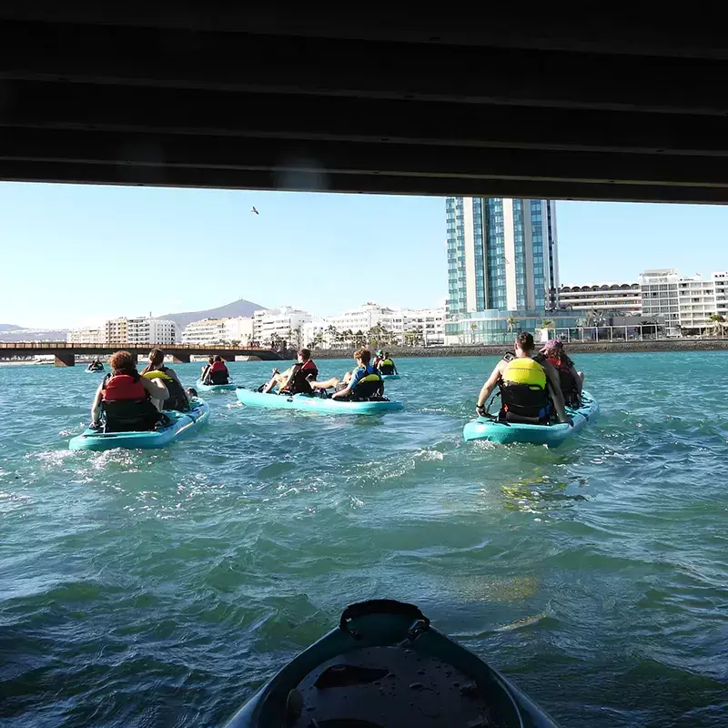 Pedal Kayak Adventure (Arrecife)  (NO PICKUP / NO TRANSFERS)